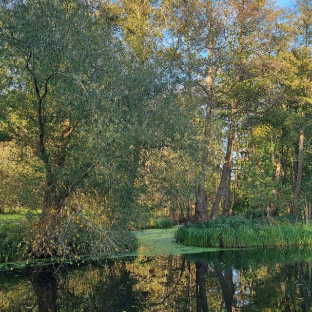 Die zwei Mündungen der Temnitz -

MYSTAGOGIE IV - Zootzen

online auf temnitzschreiber.de!

#temnitz #temnitzschreiber #friesack #mündung #naturewriting #rhinkanal #mystagogie #hansjürgenvonderwense #wanderung #temnitztal